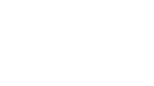 spy