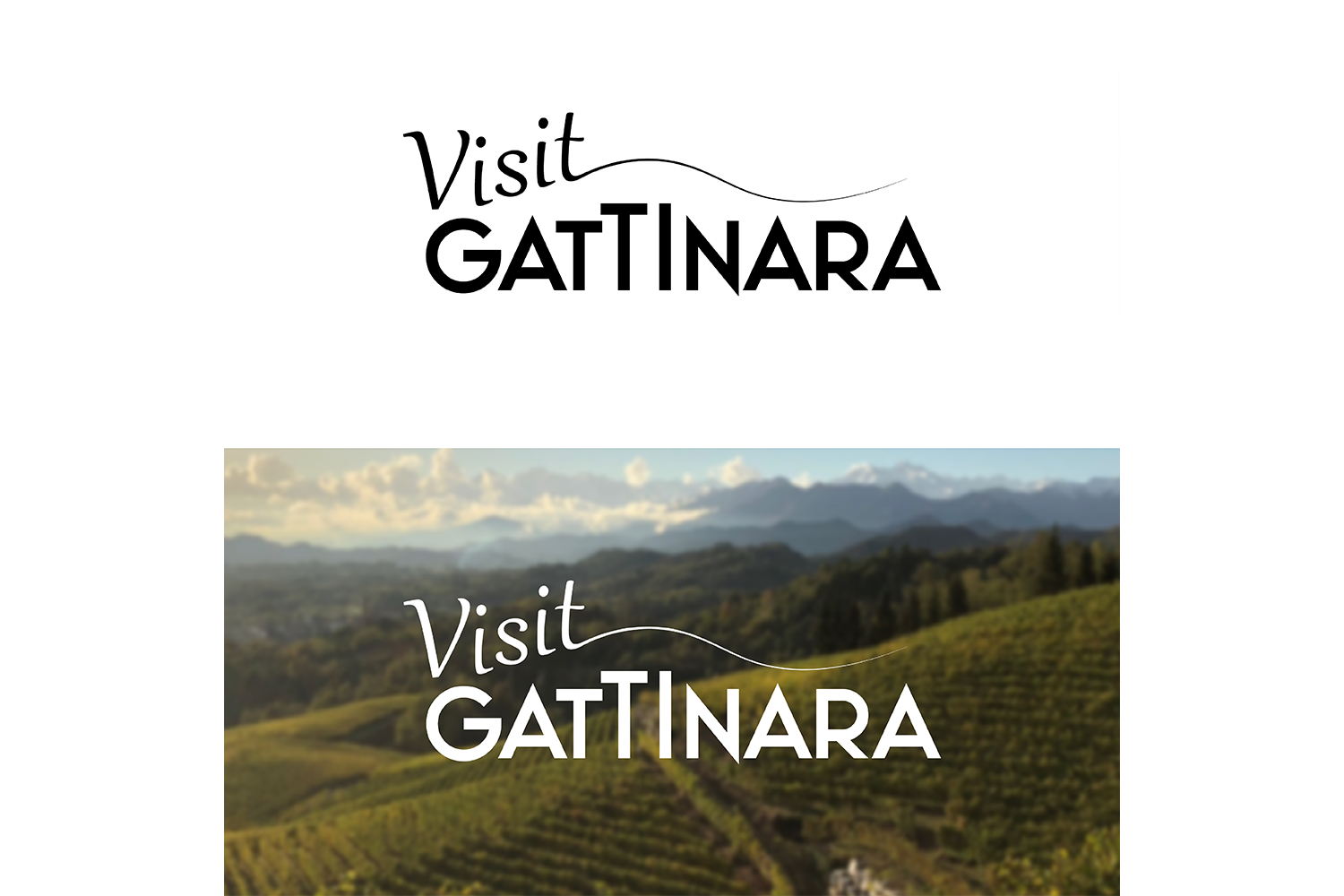 logo-visit-gattinara